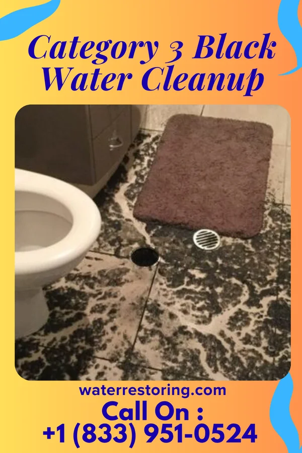 Category 3 Black Water Cleanup in Lake City, SD