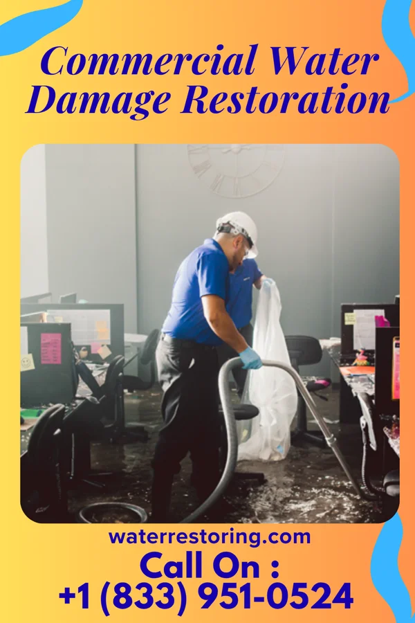 Commercial Water Damage Restoration in Lake City, SD